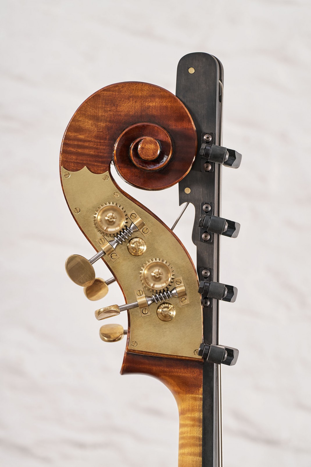 Spring Bass Instrument Instruments